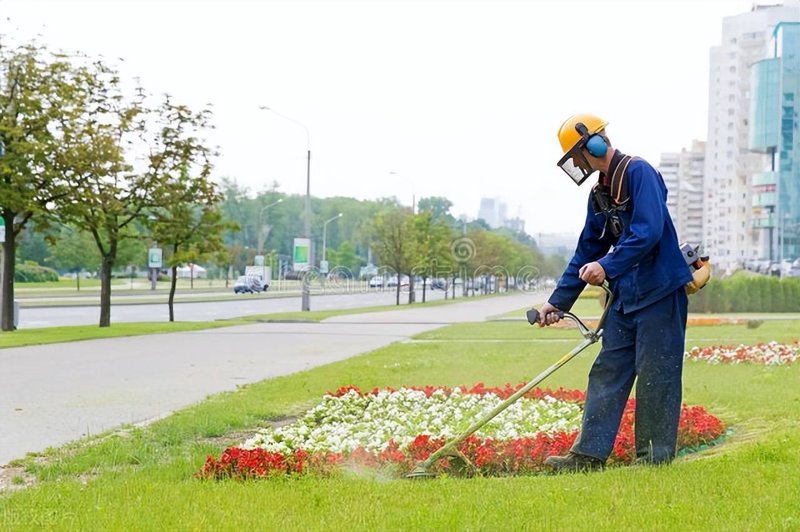 园林绿化施工：城市‘绿肺’的呼吸之道