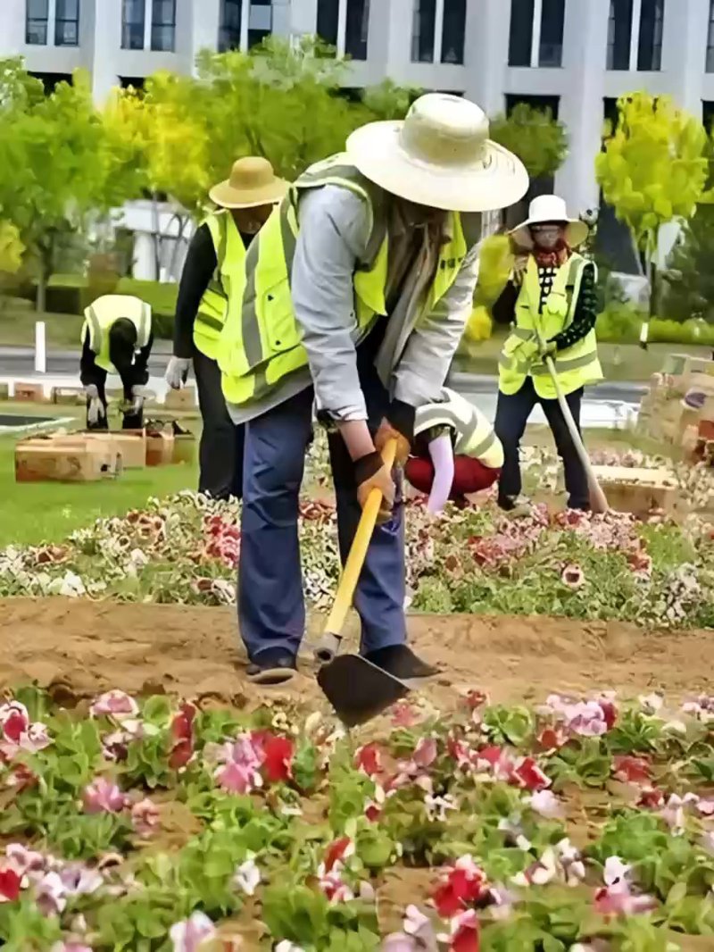 园林绿化施工：打造城市绿肺的艺术
